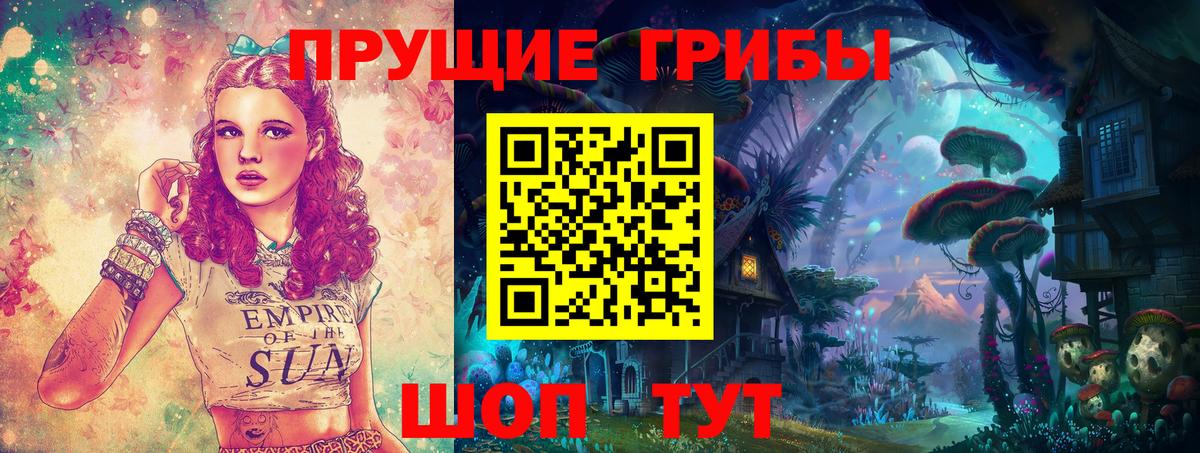 Оренбург  Галлюциногенные грибы Cubensis  Вход с VPN  Галлюциногенные грибы прущие грибы 